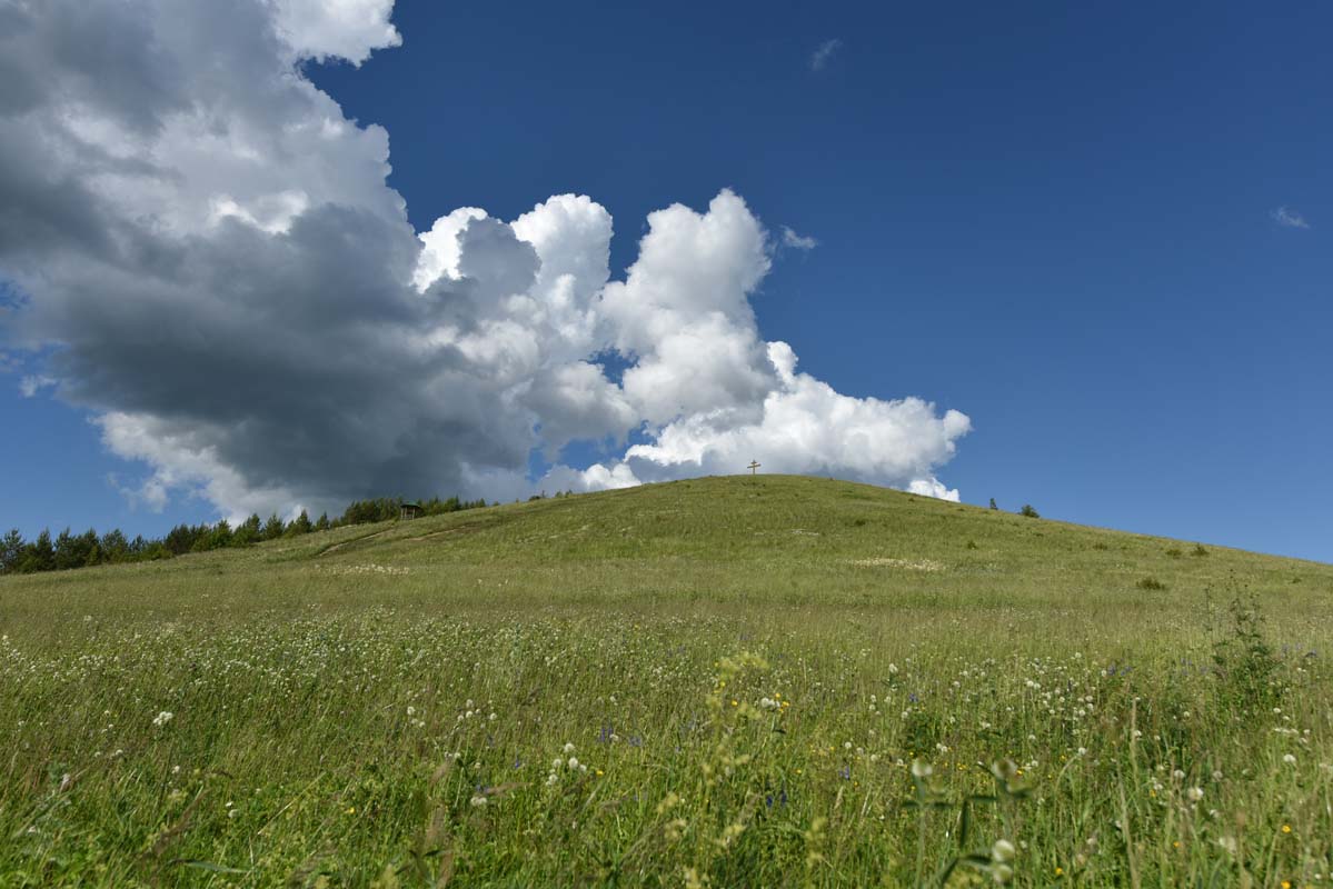 Природа Пермского края