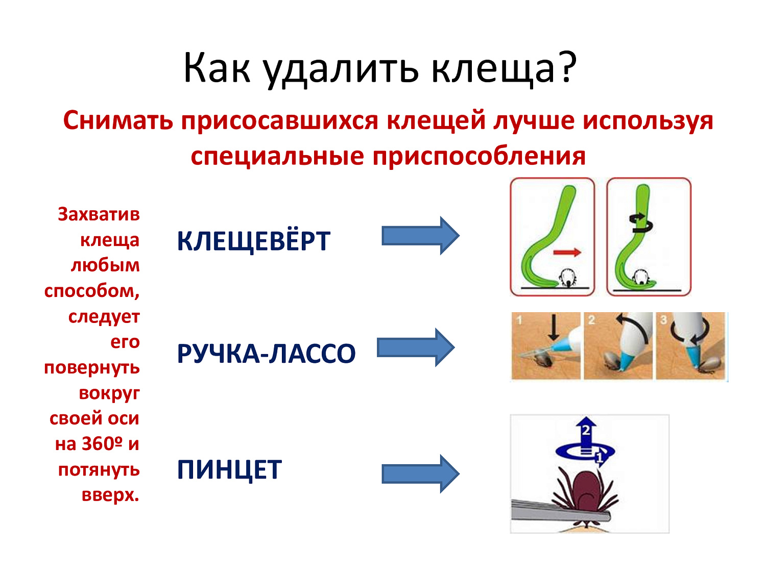 Весна, сезон клещей. Обезопасьте себя!