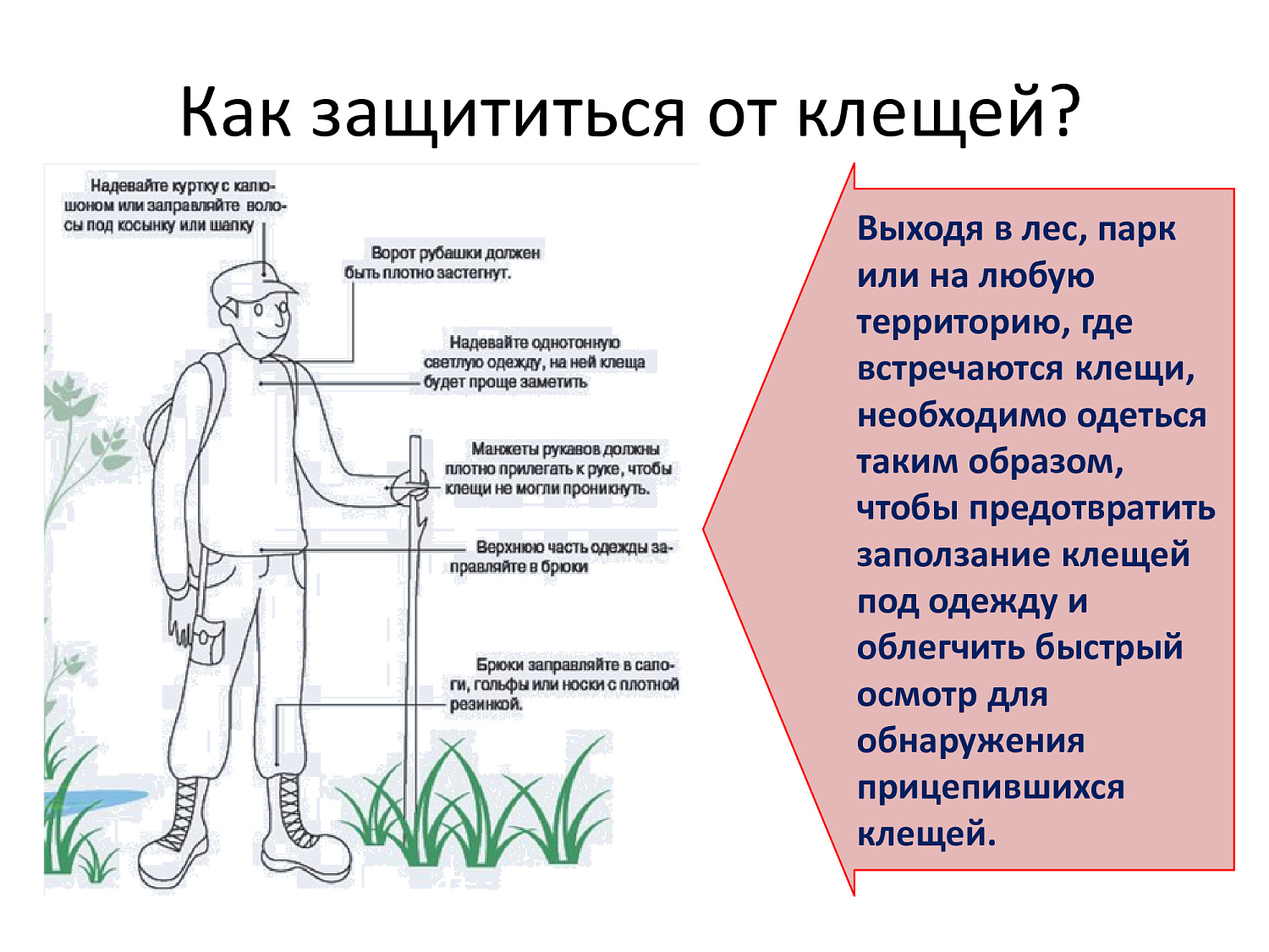 Весна, сезон клещей. Обезопасьте себя!